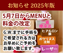 2025N 
